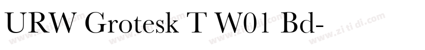 URW Grotesk T W01 Bd字体转换